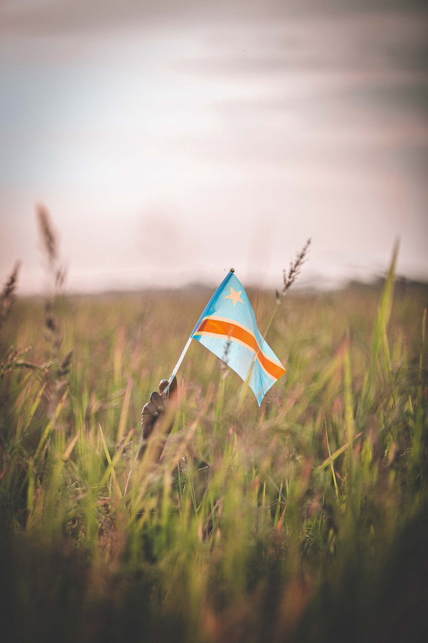 Lives Lost in Silence: The Congo’s Execution Crisis #Aremuorin #JusticeForCongo #StopMassExecutions #HumanRightsNow